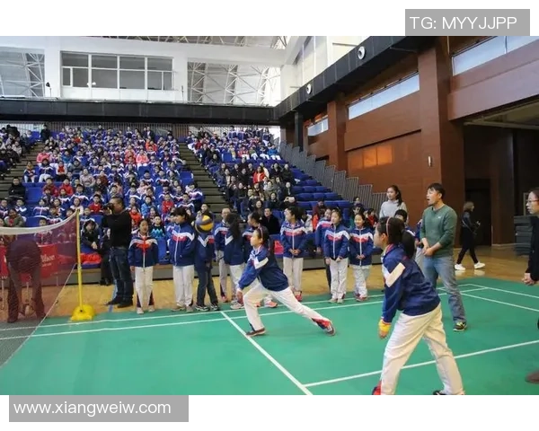 重庆排球队心理素质深度对比分析与影响因素探讨